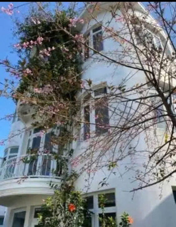 CHO THUÊ VILLA SÂN VƯỜN – CÔ GIANG PHƯỜNG 9 ĐÀ LẠT