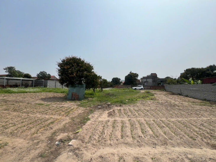 Cần Bán 3000m đất tại Phù Cừ, Hưng Yên