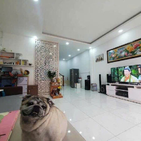 HOÀNG HOA THÁM – BÌNH THẠNH – 54M2 – 3 TẦNG – 3PN – NỞ HẬU – 6TỶ39