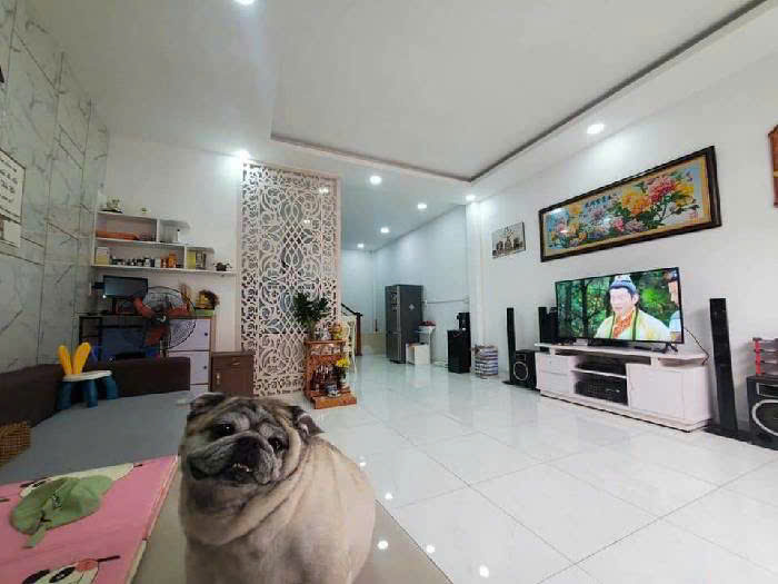 HOÀNG HOA THÁM – BÌNH THẠNH – 54M2 – 3 TẦNG – 3PN – NỞ HẬU – 6TỶ39