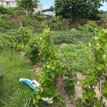 ĐẤT ĐẸP – GIÁ TỐT – Chính Chủ Cần Bán Lô Đất 2 MẶT TIỀN Khu phố 4C, Phường Trảng Dài, Đồng Nai