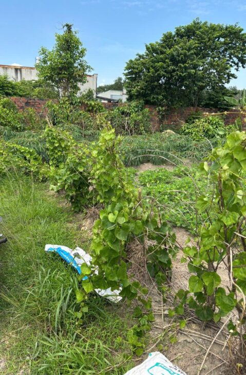 ĐẤT ĐẸP – GIÁ TỐT – Chính Chủ Cần Bán Lô Đất 2 MẶT TIỀN Khu phố 4C, Phường Trảng Dài, Đồng Nai