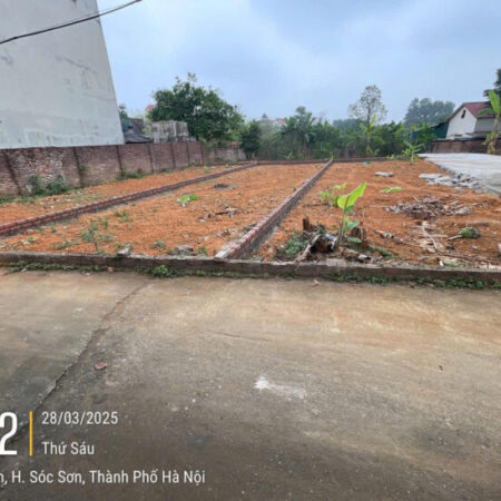 Chính chủ chuyển nhượng lô đất tại Sơn Đoài, Tân Minh, Sóc Sơn, Hà Nội,