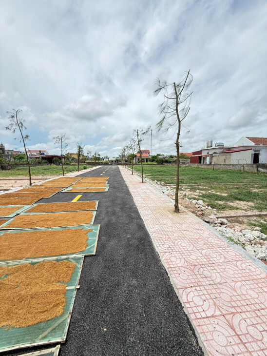 Đất nền Thị trấn Quất Lâm, Huyện Giao Thủy 2 tỷ – 100m² gần trục chính ra biển, tiện mở homestay –
