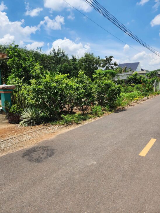 ???? Bán 200m² thổ cư 100% giá 2 tỷ 250 triệu, gần KCN, đường nhựa 7m ⚡