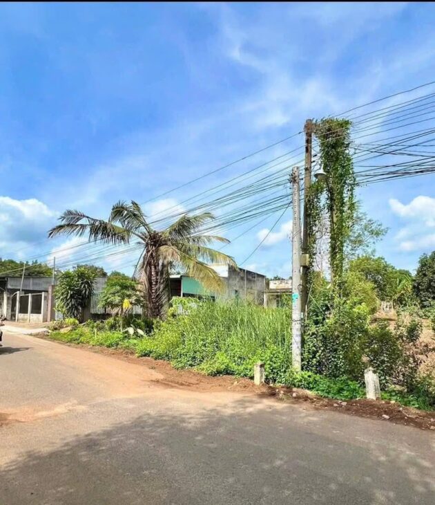 ???? Bán Gấp Lô Đất Giá Chỉ 190 Triệu – Mặt Tiền 8m, Gần KCN