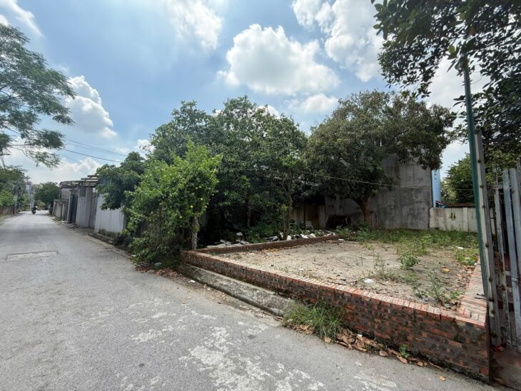 🔥🔥🔥 Chính chủ gửi bán hàng hiếm 100,6m bìa bắc Cổ Dương- Phúc Thịnh (Đông Anh cũ)