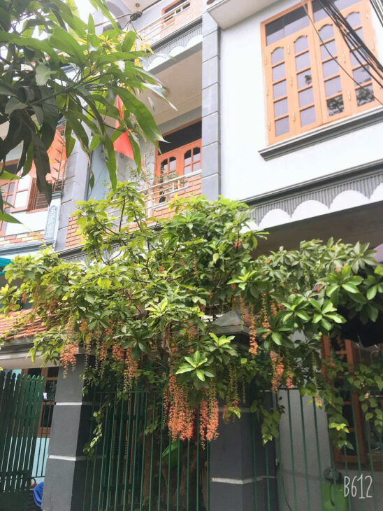 bán nhà dân xây ngay trung tm trần lãm, ngõ xe máy thoáng, 50m2, thẳng tắp ra lý bôn