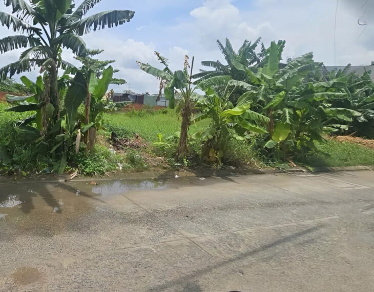 Đất Vuông đường xe tải 961m2 – Vườn Lài Q12