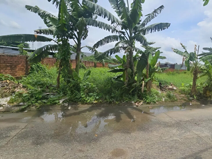 Đất Vuông đường xe tải 961m2 – Vườn Lài Q12