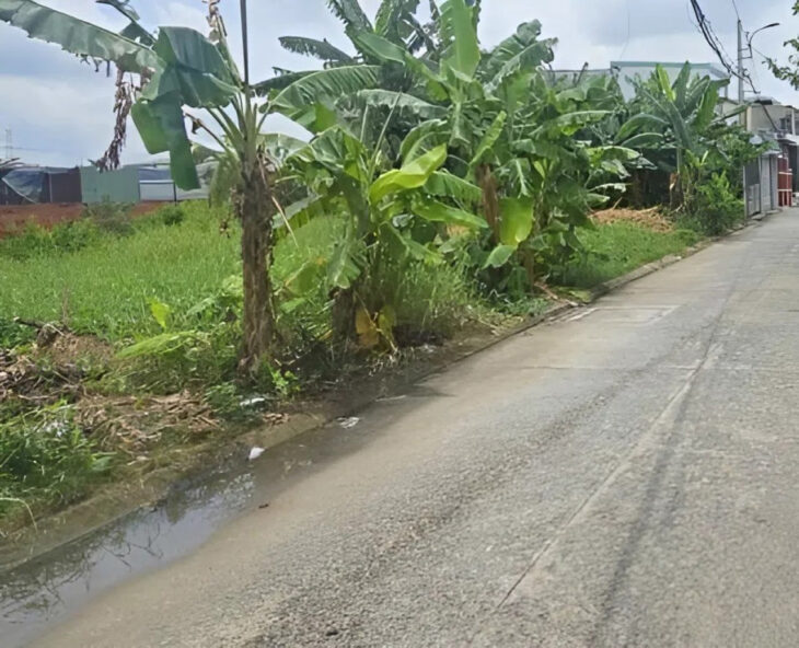 Đất Vuông đường xe tải 961m2 – Vườn Lài Q12