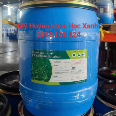 CLOSTRIDIUM BUTYRICUM – giải pháp sinh học thay thế kháng sinh CLOSTRIDIUM BUTYRICUM – giải pháp sinh học thay thế kháng sinh