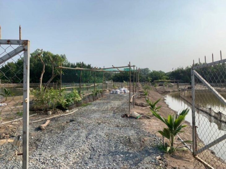 Bán lô đất thổ phân lô mặt tiền đê bao giá 7,5 tỷ