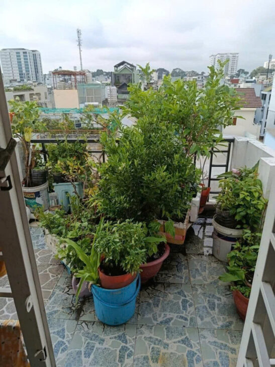 🌹NGUYỄN TIỂU LA Q10- VỊ TRÍ ĐẸP, HXH ĐỖ CỬA – NHÀ 5 TẦNG THIẾT KẾ HIỆN ĐẠI VÀO Ở NGAY – HƠN 7 TỶ