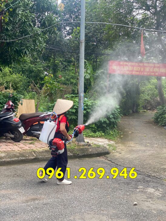Máy phun thuốc kết hợp thổi lá Turbo 2 thì WQ-G66