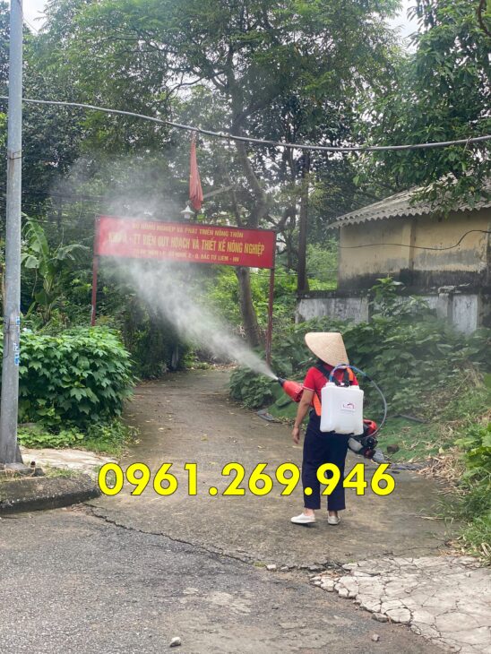 Máy phun thuốc kết hợp thổi lá Turbo 2 thì WQ-G66