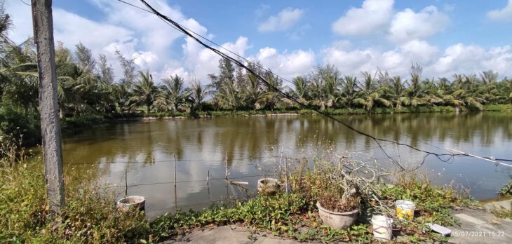 Bán lô đất trang trại 5000m2 tại huyện Kiến Thụy, Hải Phòng, phù hợp phát triển mô hình nông