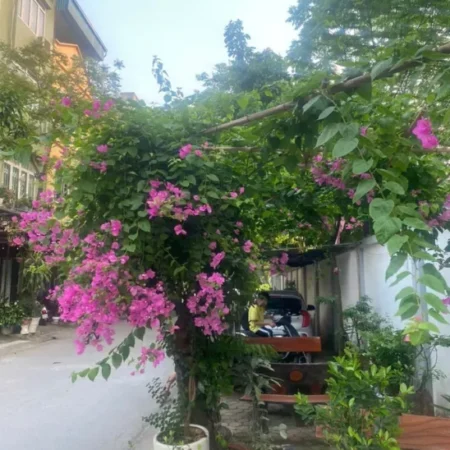 Bán nhà Kiến Hưng 45mx5 tầng Vỉa Hè, Phân Lô, Ô tô tránh, kinh doanh đỉnh 12.6 tỷ. Bán nhà Kiến Hưng 45mx5 tầng Vỉa Hè, Phân Lô, Ô tô tránh, kinh doanh đỉnh 12.6 tỷ.