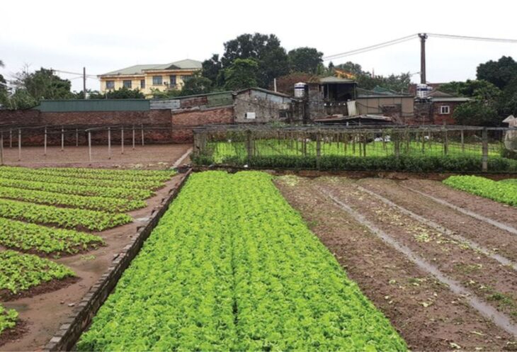 Bán đất Sài Sơn, Quốc Oai, SĐ 200m2, MT 5m, đường ô tô vào, sát đường 40m sắp mở