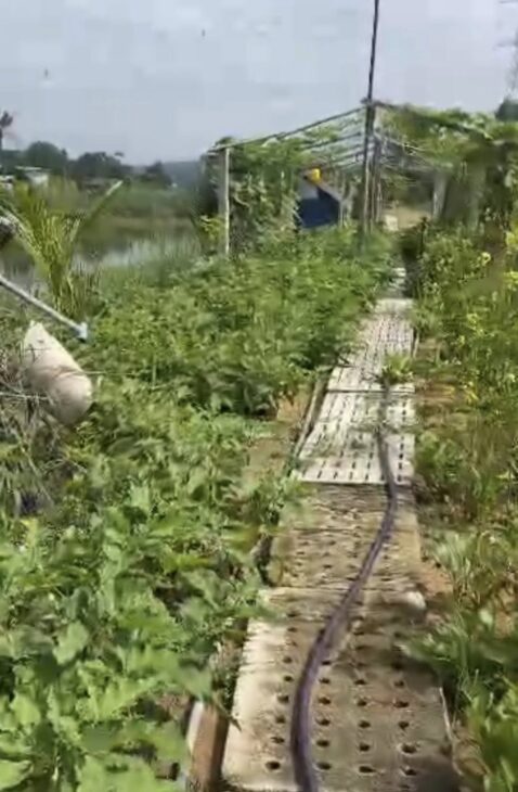 Bán Đất Bắc Sơn Trảng Bom Kinh Doanh Ăn Uống Hồ Câu Cá Gần Giáo Xứ Bùi Đệ