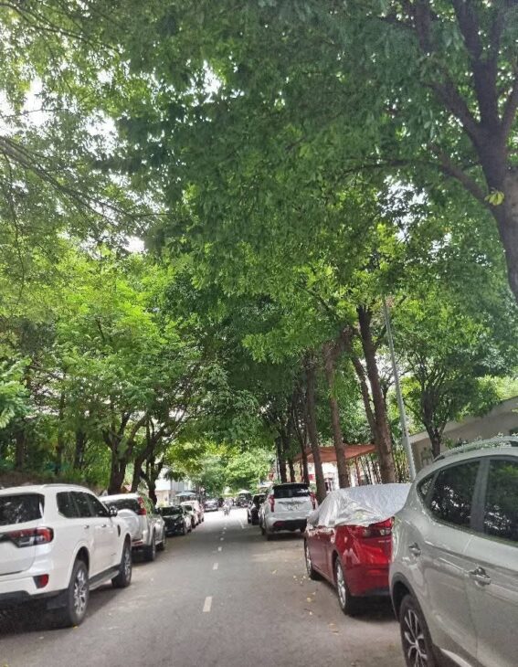 MẶT TIỀN ĐƯỜNG 16M KDC KHANG ĐIỀN – 3 TẦNG HIỆN ĐẠI, 160M², 4PN