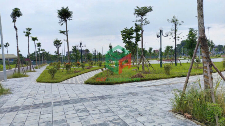 ✅ Bán đất đấu giá X1 Nguyên Khê – 80m – View công viên – Đường rộng 20m