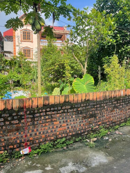 Bán đất Lộc Hà, Mai Lâm, Đông Anh 49m- nhỉnh 5 tỷ( TL)