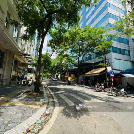Bán đất phân lô phố Dịch Vọng Hậu – Cầu Giấy – Diện tích 150m Ô tô Tránh View Vườn Hoa Hiếm