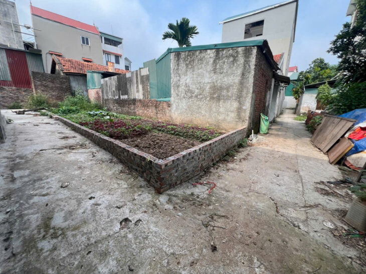 Bán đất lô góc 54m² – Đức Thượng, Hoài Đức, Hà Nội – nhỉnh 4 tỷ