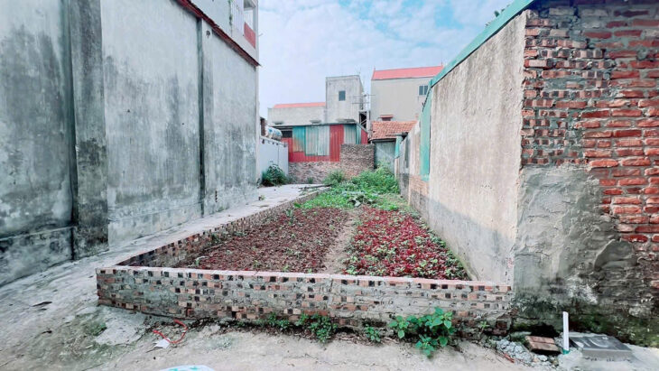 Bán đất lô góc 54m² – Đức Thượng, Hoài Đức, Hà Nội – nhỉnh 4 tỷ