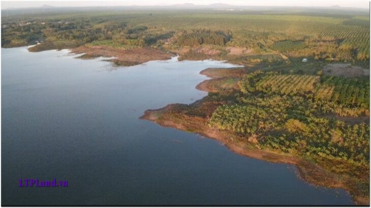 1,500m2 Full hồng, Giáp hồ cầu mới tuyệt đẹp, nghỉ dưỡng tuyệt vời, gần sân bay Long Thành