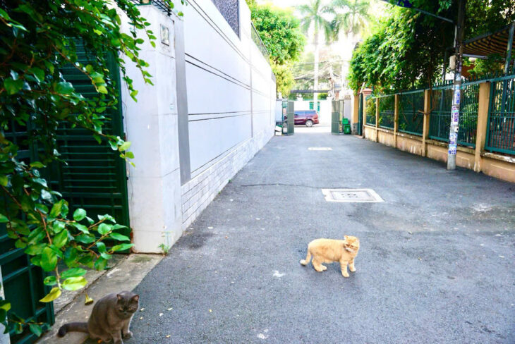 BÁN GẤP NHÀ đường số 3, phường Bình An Quận 2 , DT 100M2- XD 3 LẦU – 22,5 TỶ