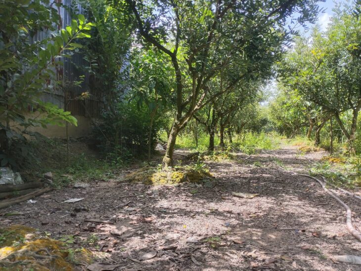 ĐẤT ĐẸP – GIÁ TỐT – Bán GẤP Lô Đất Tiềm Năng Tại LẤP VÒ, ĐỒNG THÁP