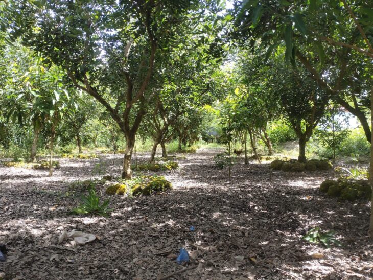 ĐẤT ĐẸP – GIÁ TỐT – Bán GẤP Lô Đất Tiềm Năng Tại LẤP VÒ, ĐỒNG THÁP