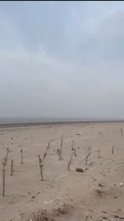 Đất biển Quất Lâm giá chỉ 2tr/m2