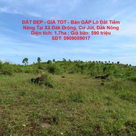 ĐẤT ĐẸP – GIÁ TỐT – Bán GẤP Lô Đất Tiềm Năng Tại Xã Đăk Đrông, Cư Jút, Đắk Nông