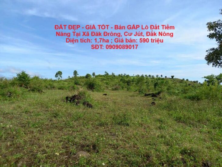 ĐẤT ĐẸP – GIÁ TỐT – Bán GẤP Lô Đất Tiềm Năng Tại Xã Đăk Đrông, Cư Jút, Đắk Nông