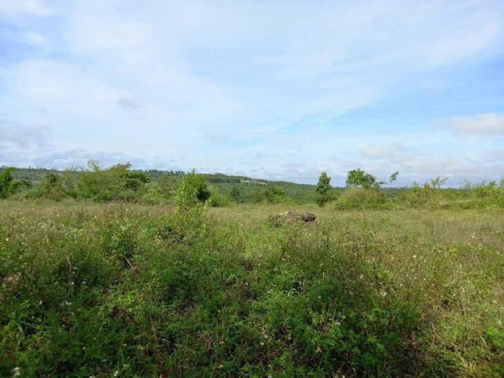 ĐẤT ĐẸP – GIÁ TỐT – Bán GẤP Lô Đất Tiềm Năng Tại Xã Đăk Đrông, Cư Jút, Đắk Nông