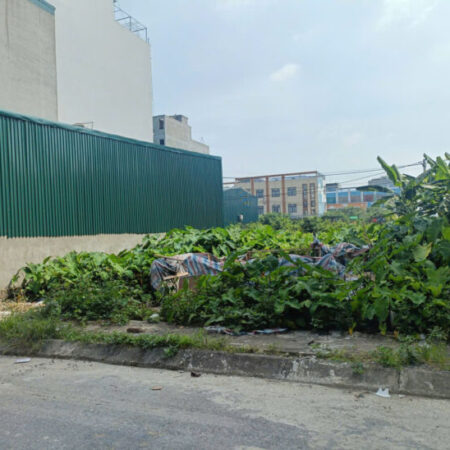 ĐẤT D.VỤ 5,5HA TRẠM TRÔI 140M, VỈA HÈ, 2 ÔTÔ TRÁNH GIÁ 133 Tr/m2