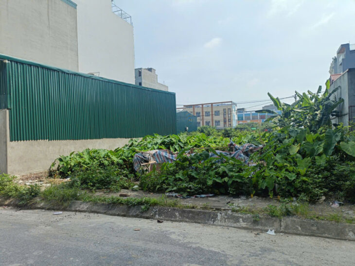 ĐẤT D.VỤ 5,5HA TRẠM TRÔI 140M, VỈA HÈ, 2 ÔTÔ TRÁNH GIÁ 133 Tr/m2