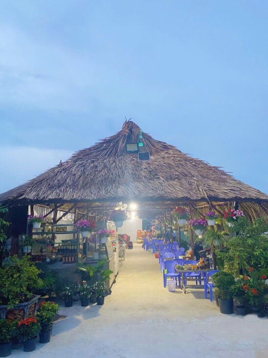 LÔ ĐẤT ĐẸP – CẦN BÁN LÔ ĐẤT Tại Đường Ba Sa Gò Mối Đức Lập Hạ, tây Ninh.