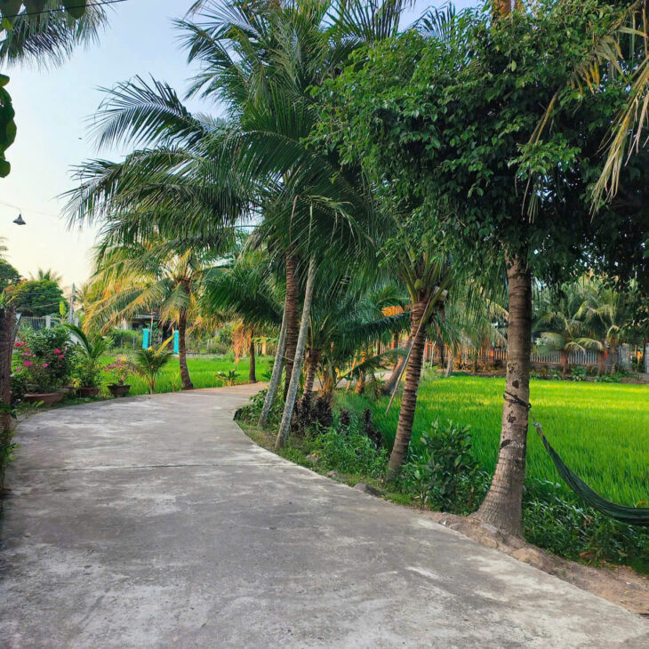CL-BÁN LÔ ĐẤT DIÊN TOÀN (cũ), DIÊN KHÁNH.
