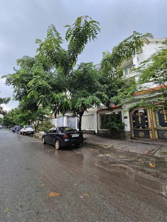 MỚI VÀ DUY NHẤT – LÔ GÓC LIỀN KỀ MT HUỲNH TẤN PHÁT, PHÚ THUẬN, QUẬN 7 – 98M2 – CHỈ NHỈNH 7 T.Ỷ