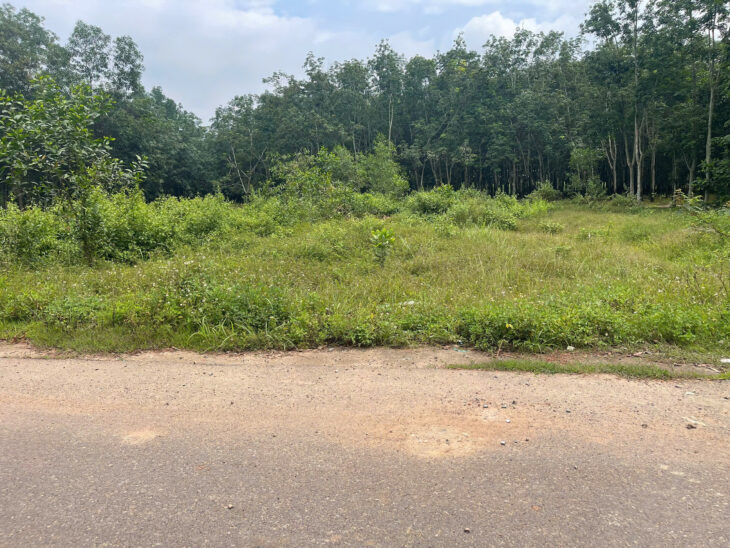 🌟 Cơ Hội Đầu Tư: Đất Thổ Cư 125,1m² gần KCN Bàu Xéo & Giang Điền – Giá 1,05 Tỷ