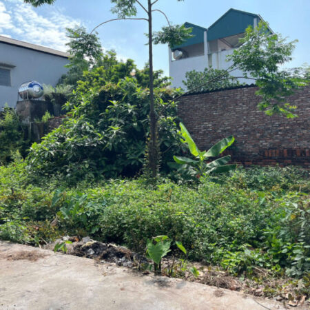 CHÍNH CHỦ BÁN ĐẤT XÃ THUẬN AN – HÀ NỘI, DIỆN TÍCH 45.5 M2, GIÁ 2.3 TỶ