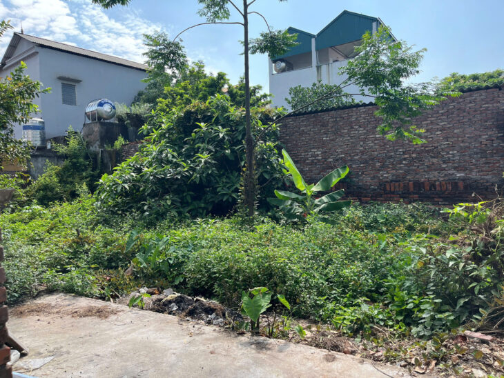 CHÍNH CHỦ BÁN ĐẤT XÃ THUẬN AN – HÀ NỘI, DIỆN TÍCH 45.5 M2, GIÁ 2.3 TỶ