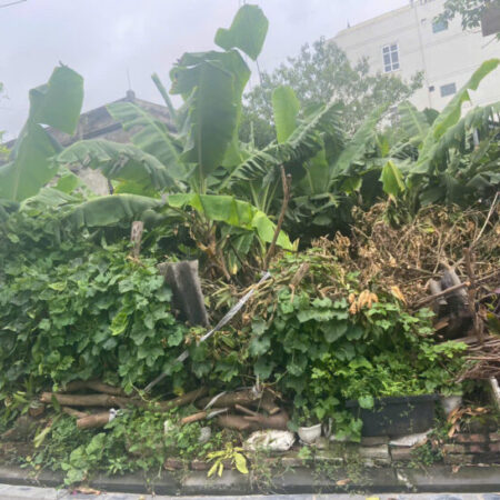 Bán đất Đức Giang Long Biên – Oto – 75m mặt tiền 5m nhỉnh 10 tỷ (TL)