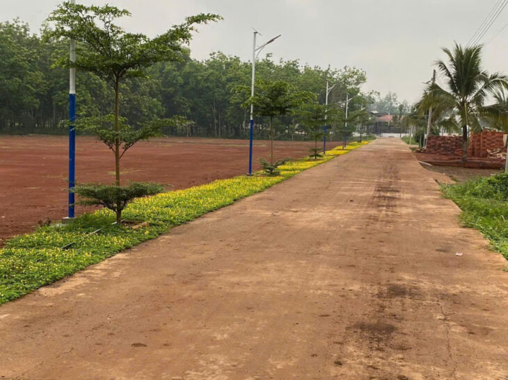 Bán đất cạnh KCN, có hơn 60 cơ sở chế biến hạt Điều