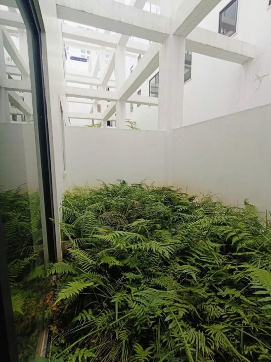 ĐẲNG CẤP VƯỢT TRỘI CỦA GIỚI THƯỢNG LƯU – LIỀN KỀ DIAMOND POINT – C14 PHÚC ĐỒNG – LONG BIÊN