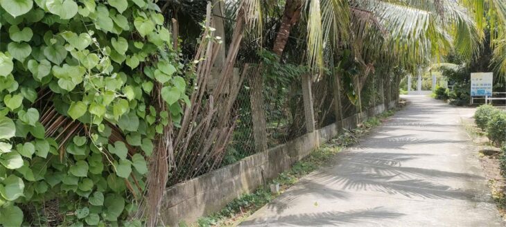 ĐẤT ĐẸP – GIÁ TỐT – Bán GẤP Lô Đất Tiềm Năng Tại Xã Long An, Châu Thành, Tiền Giang ĐẤT ĐẸP – GIÁ TỐT – Bán GẤP Lô Đất Tiềm Năng Tại Xã Long An, Châu Thành, Tiền Giang